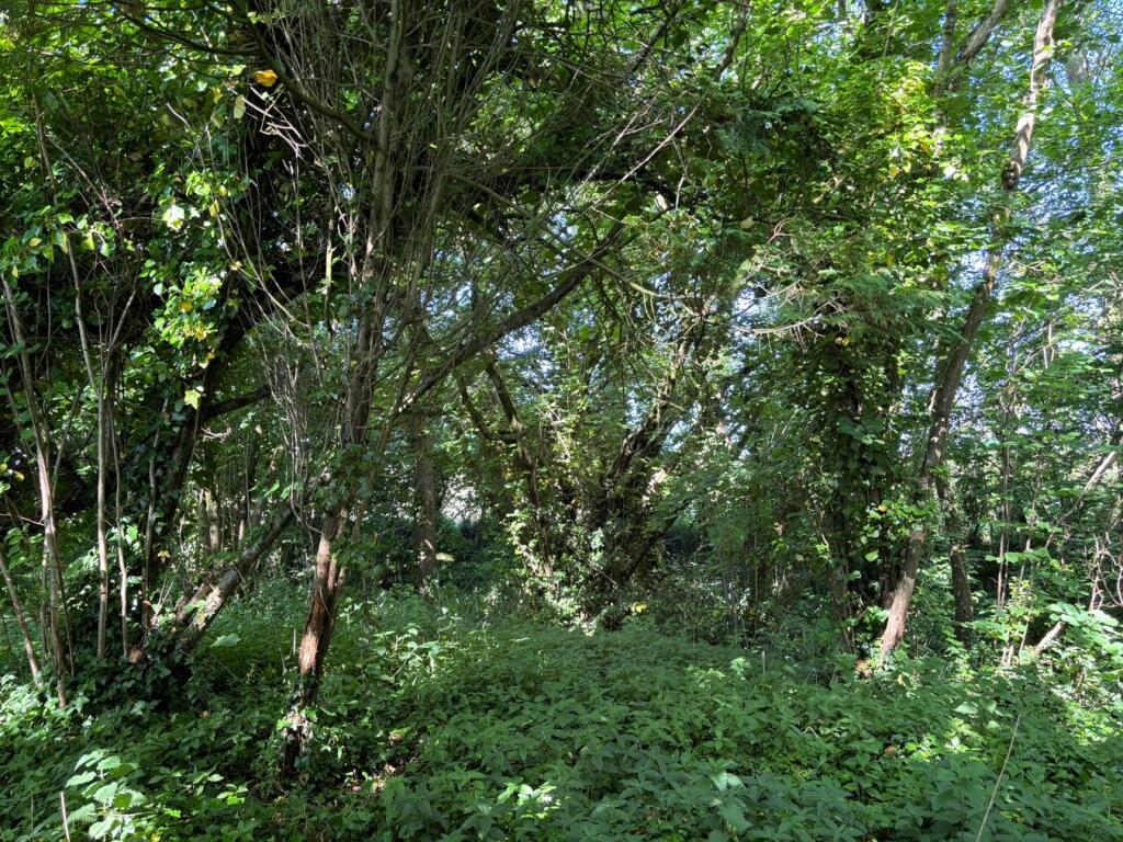 Additional image 7 of Great Pit Lane, Rimpton, Yeovil, BA22