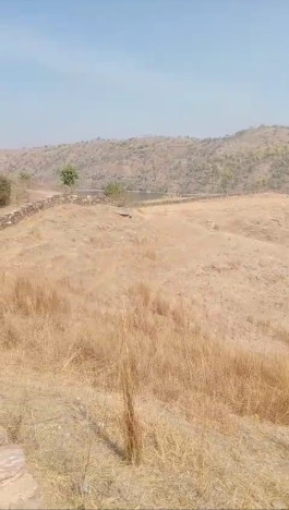 Property image for Mavli, Udaipur