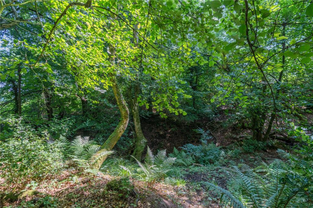 Additional image 35 of A substantial country residence with annexe, outbuildings and approximately 14 acres