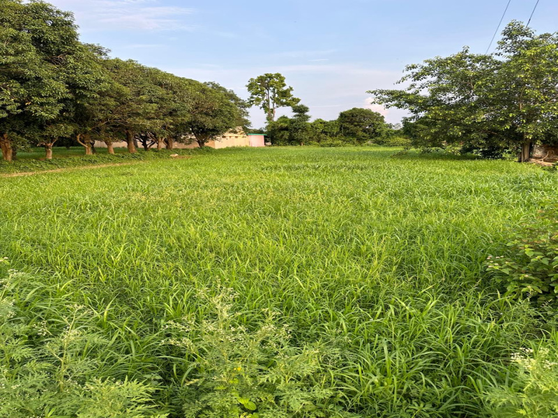 Additional image 3 of Sahaspur, Dehradun