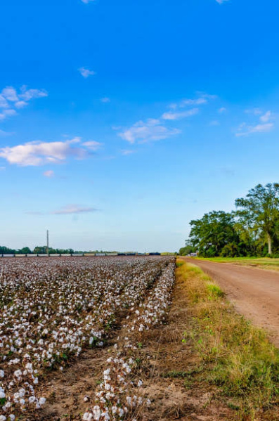 Additional image 3 of Naugaon, Alwar