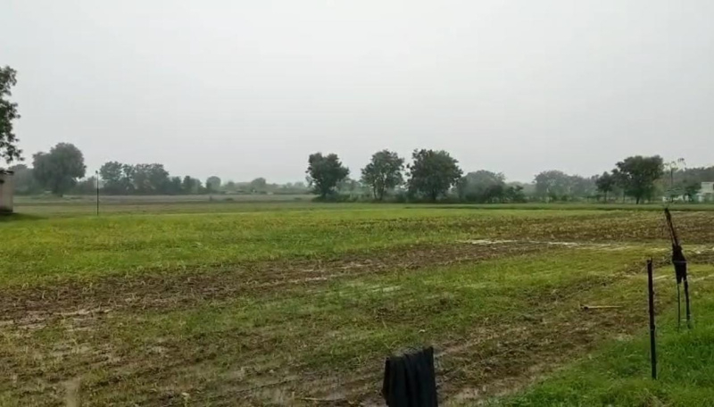 Additional image 2 of Mavli, Udaipur