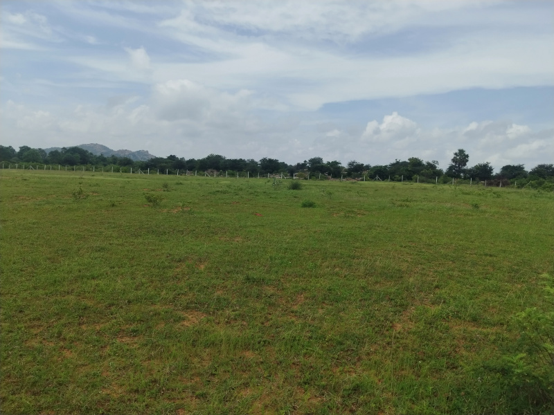 Additional image 3 of Mucherla, Hyderabad