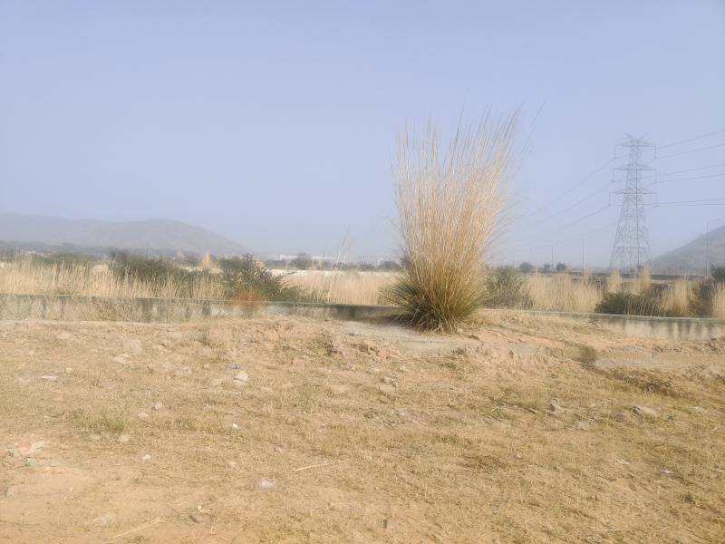 Additional image 3 of Chopanki, Bhiwadi