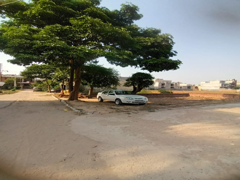 Property image for Sunny Enclave, Mohali