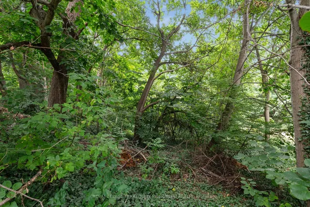 Additional image 6 of 235 Birkdale Rd