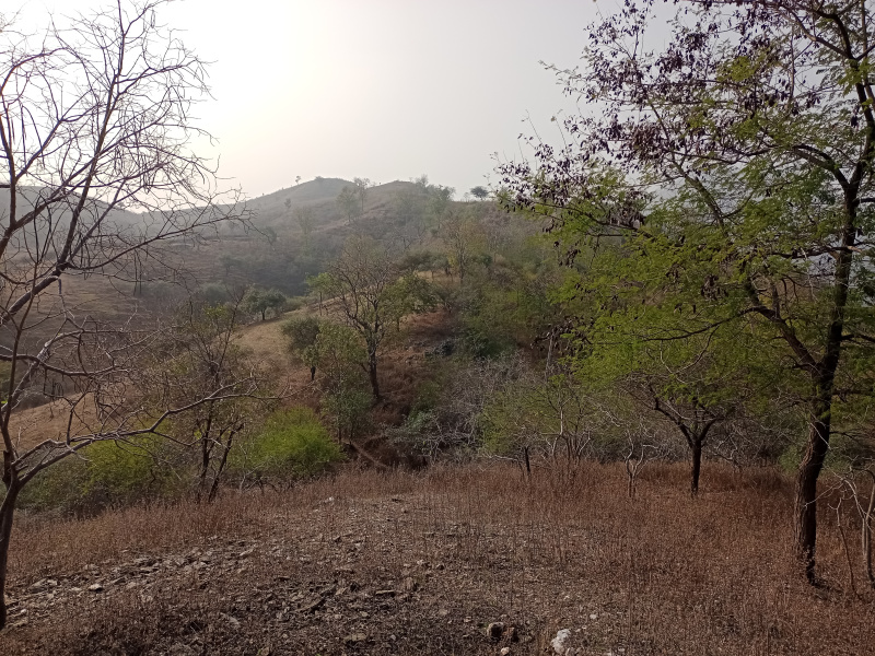 Additional image 2 of Chand Pole, Udaipur