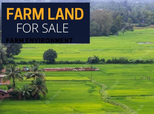 Additional image 3 of Bijwasan, Delhi