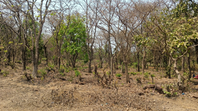 Additional image 2 of Pernem, Goa