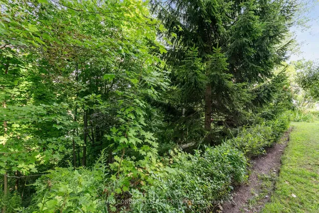 Additional image 36 of 185 Stephen Dr Unit 101