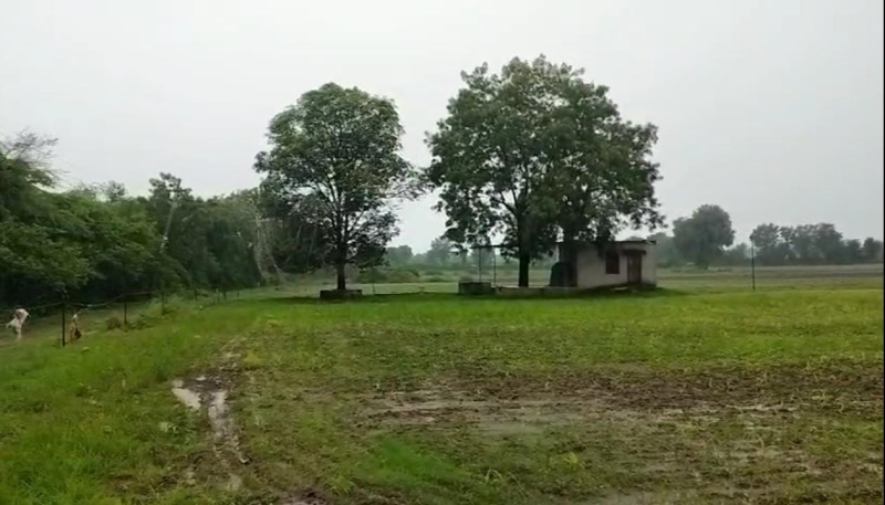 Additional image 3 of Mavli, Udaipur