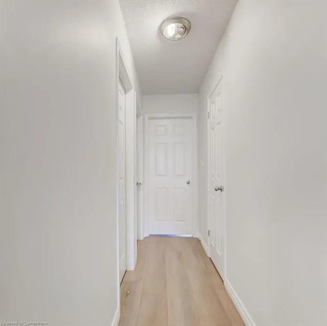 Additional image 22 of 220 Lemon Grass Cres