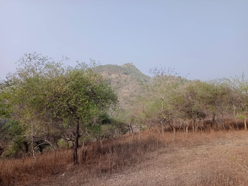 Property image for Chand Pole, Udaipur