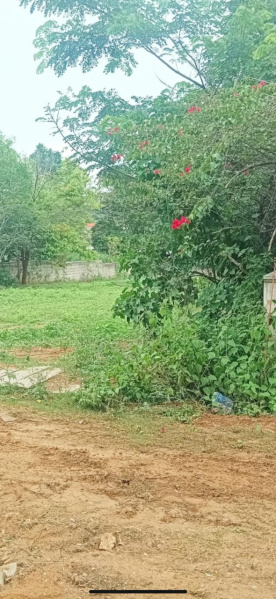 Additional image 3 of Lalith Mahal Road, Mysore