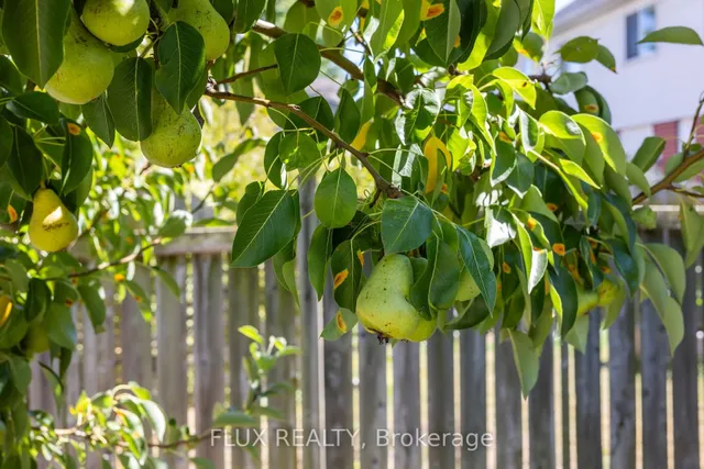 Additional image 43 of 2 Donnenwerth Dr