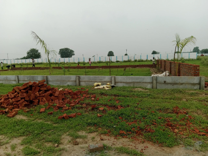 Additional image 3 of Patholi, Agra