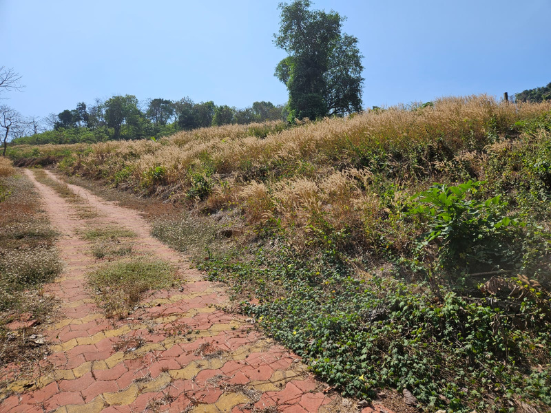 Pernem, Goa