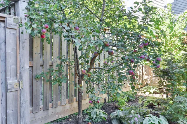 Additional image 22 of 18 Mitchell Ave