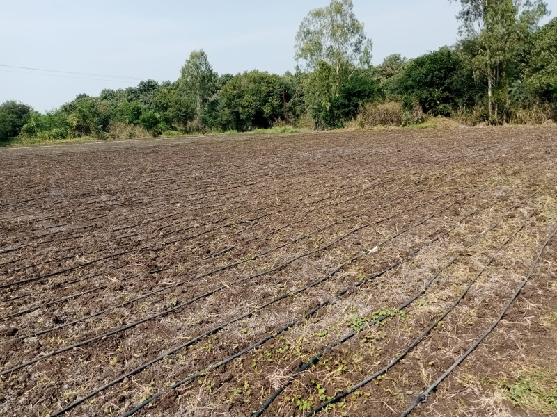 Additional image 2 of Manneguda, Hyderabad