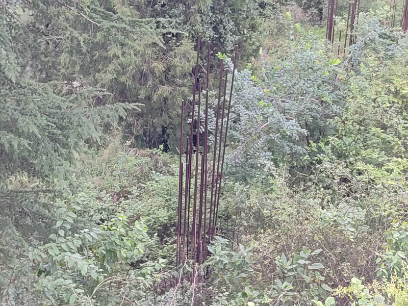 Additional image 2 of Chotta Shimla, Shimla