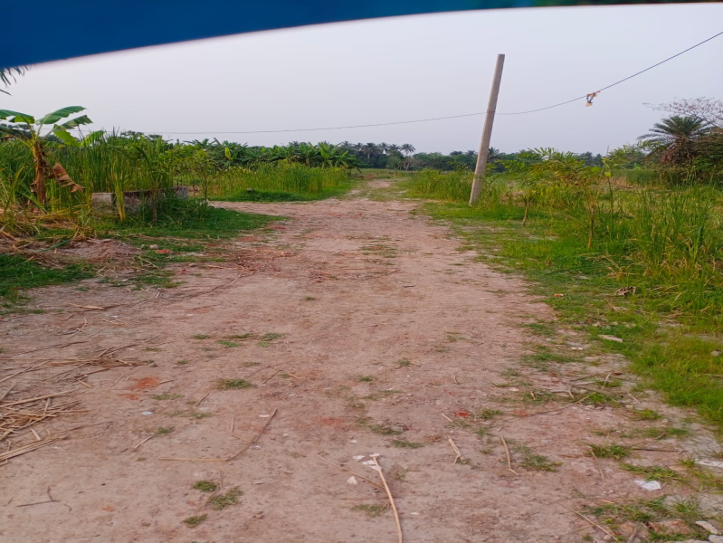 Additional image 2 of Joka, Kolkata