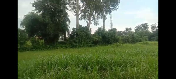 Additional image 2 of Vikas Nagar, Dehradun