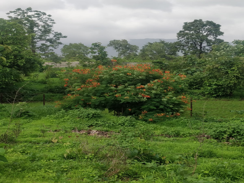 Additional image 3 of Karjat, Mumbai
