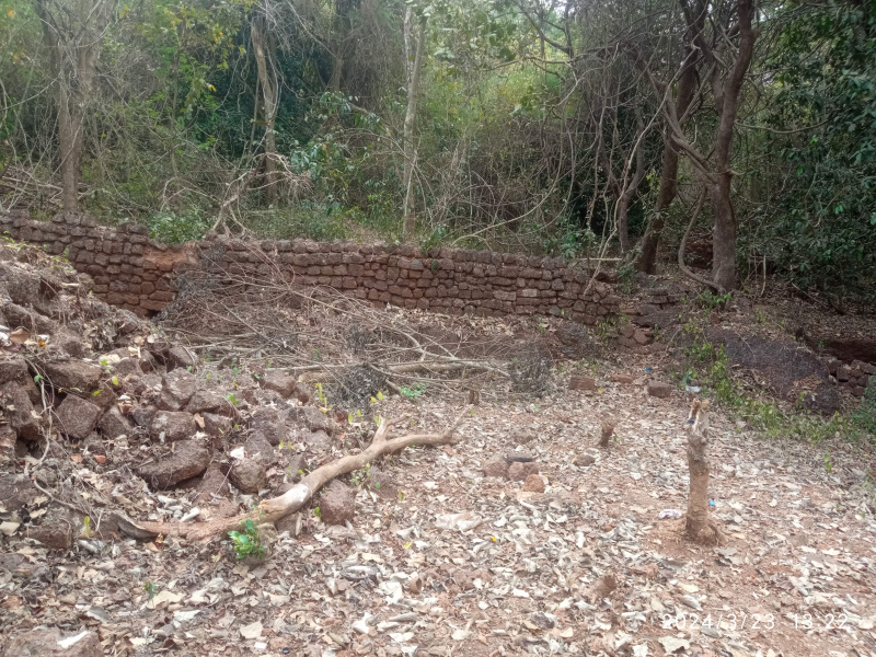 Additional image 2 of Bastora, Goa