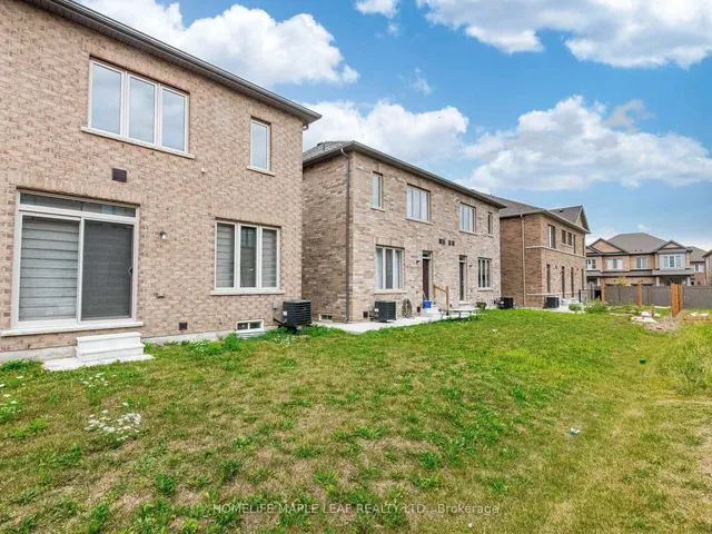 Additional image 47 of 10 Truffle Crt