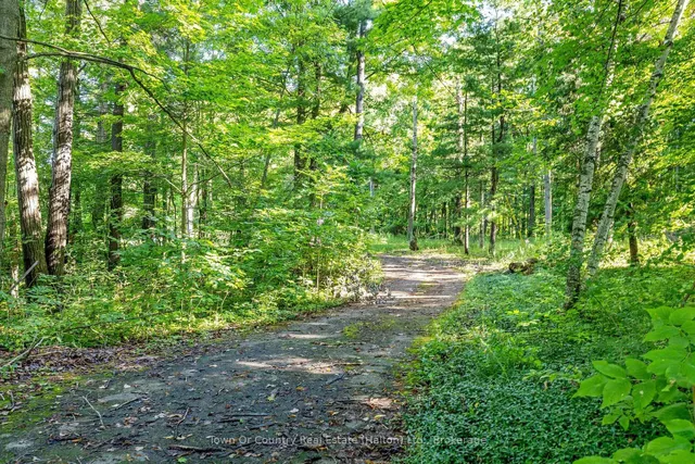 Additional image 22 of 2380 Conservation Rd