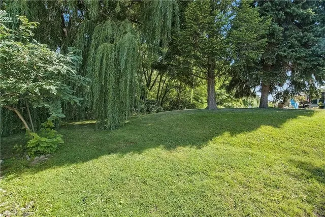 Additional image 21 of 13 Sister Varga Terr