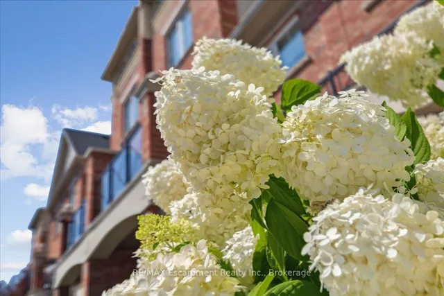 Additional image 39 of 2508 Post Rd Unit 17