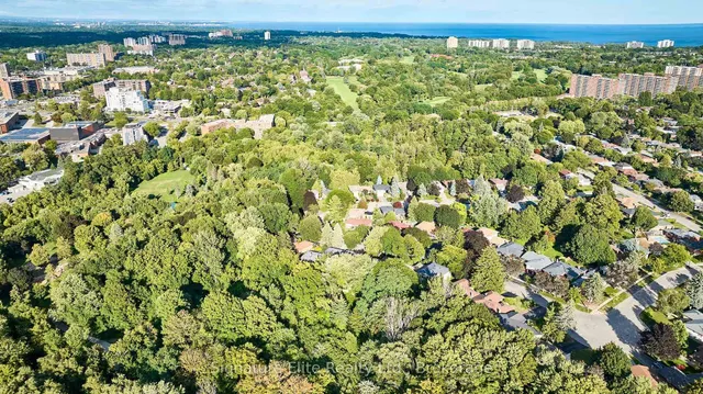 Additional image 46 of 262 Bellamy Rd