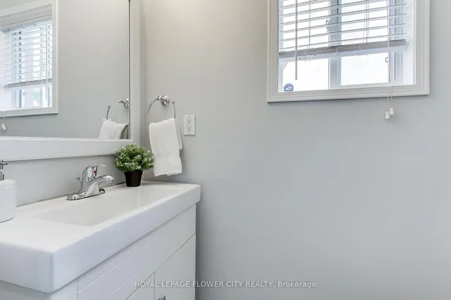 Additional image 21 of 6 Studebaker Tr