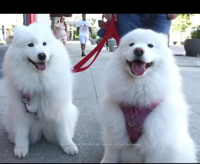 Additional image 44 of 18 Concorde Pl Unit 726