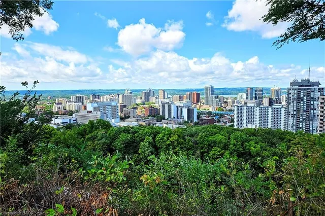 Additional image 33 of 479 Charlton Ave Unit 408