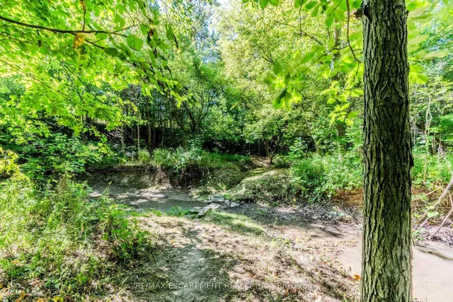 Additional image 17 of 4165 Kirk Rd