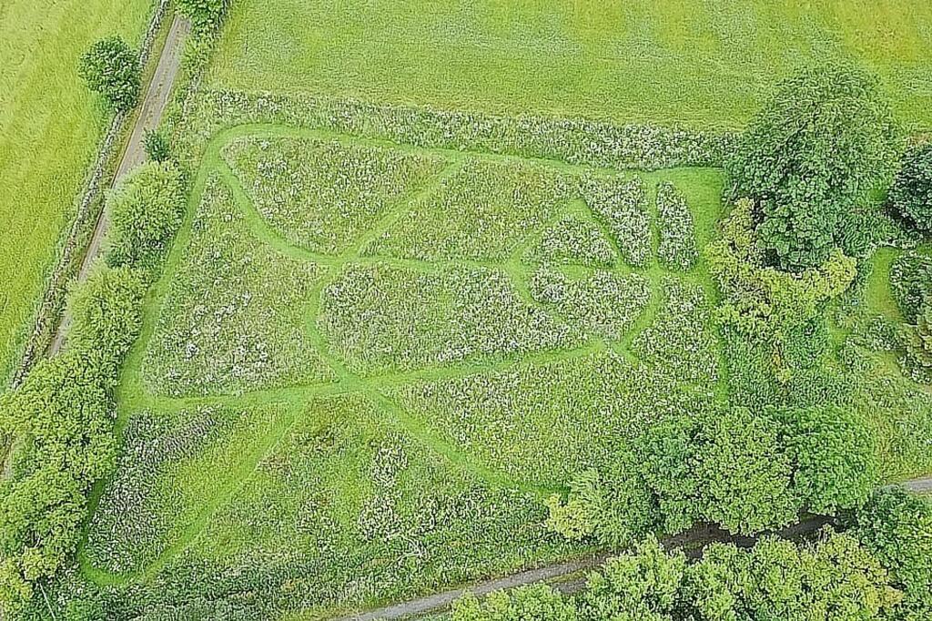 Additional image 20 of Cornhill, Banff, AB45