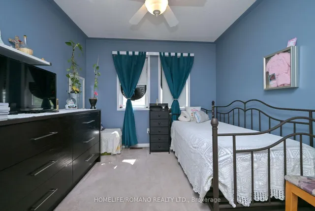 Additional image 12 of 132 Earth Star Tr