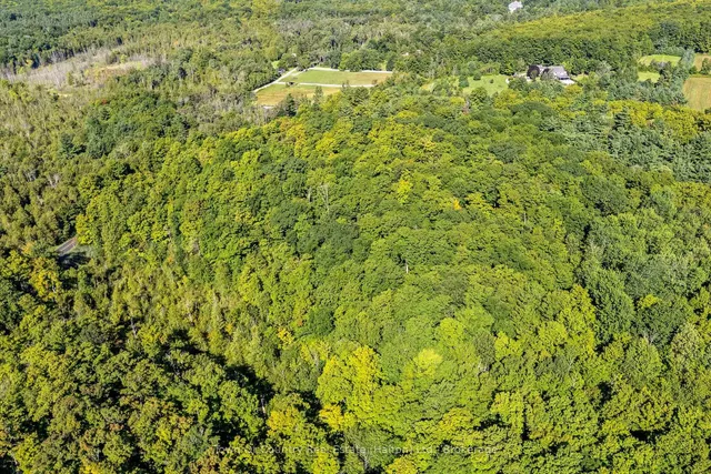 Additional image 30 of 2380 Conservation Rd