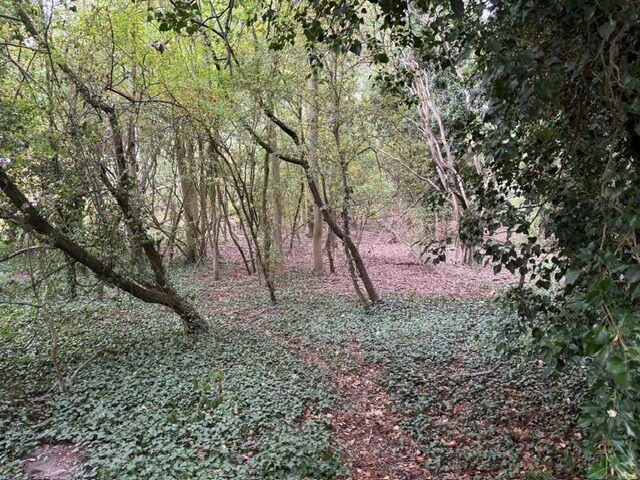 Additional image 11 of Land at Potterells, Station Road, Welham Green, Brookmans Park, Hertfordshire, AL9 7SL