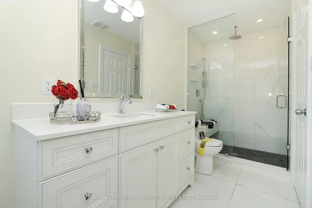 Additional image 19 of 1747 Cobra Cres