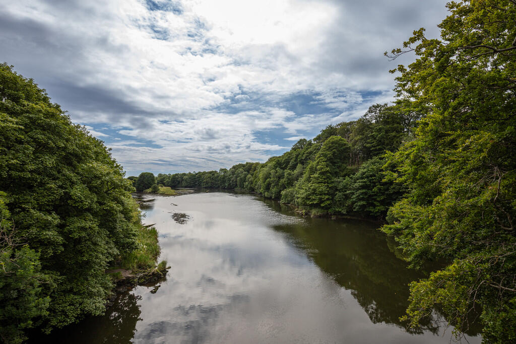 Additional image 15 of Papermill Avenue, Aberdeen