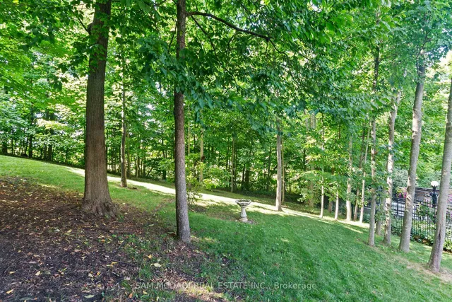 Additional image 46 of 10140 Pineview Tr