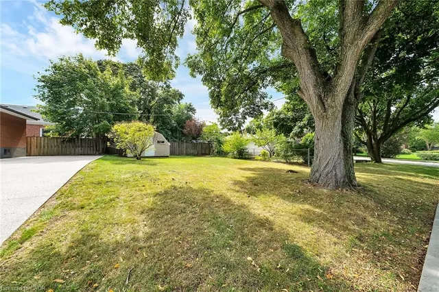 Additional image 39 of 441 Elmwood Ave