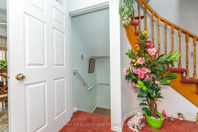 Additional image 29 of 55 Atkins Circ