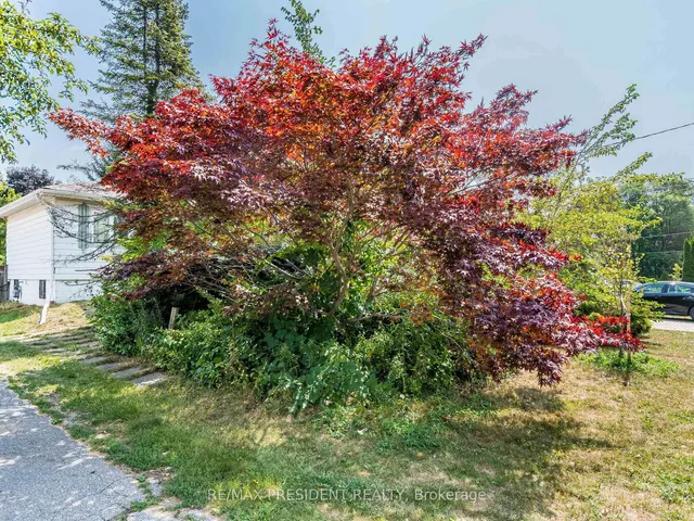 Additional image 8 of 135 Kitchener Rd