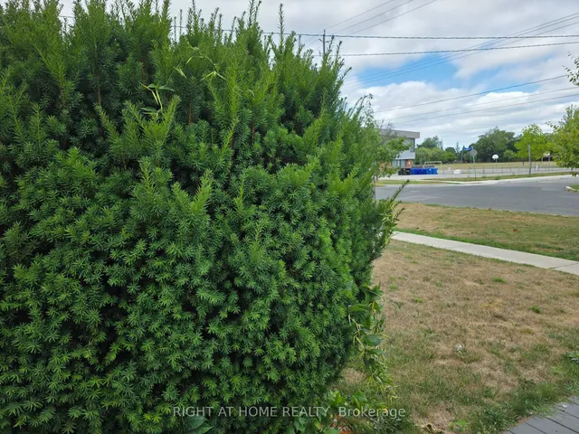 Additional image 6 of 220 Livingston Rd