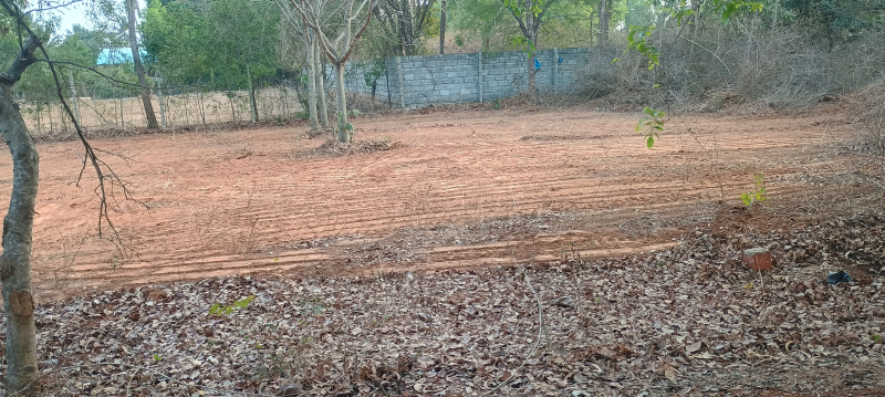 Additional image 3 of Devanahalli, Bangalore