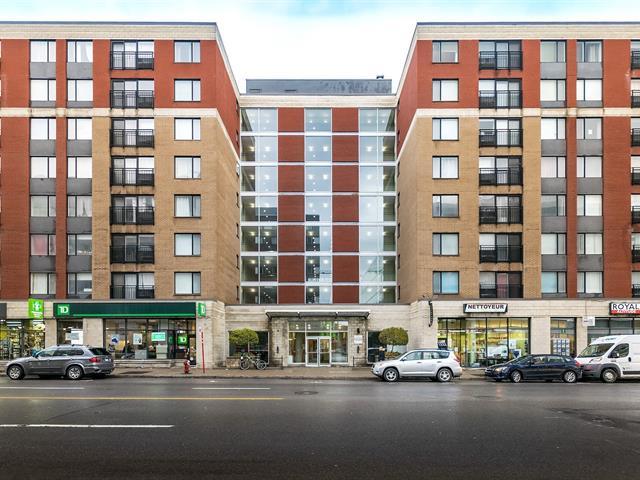 1225 Rue Notre-Dame O.|#313|Montréal (Ville-Marie), Quebec H3C6S3